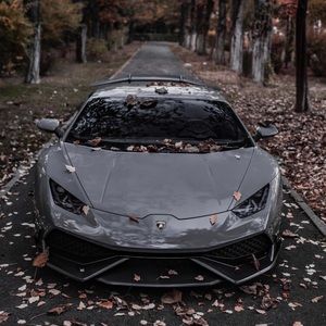 Meet your Posher, Bryce